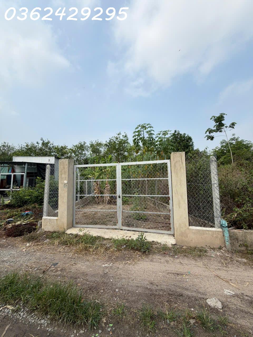 Bán đất 217.7m2 có thổ cư xã Thanh Tuyền, huyện Dầu Tiếng, Bình Dương chỉ với giá siêu hời 16024503