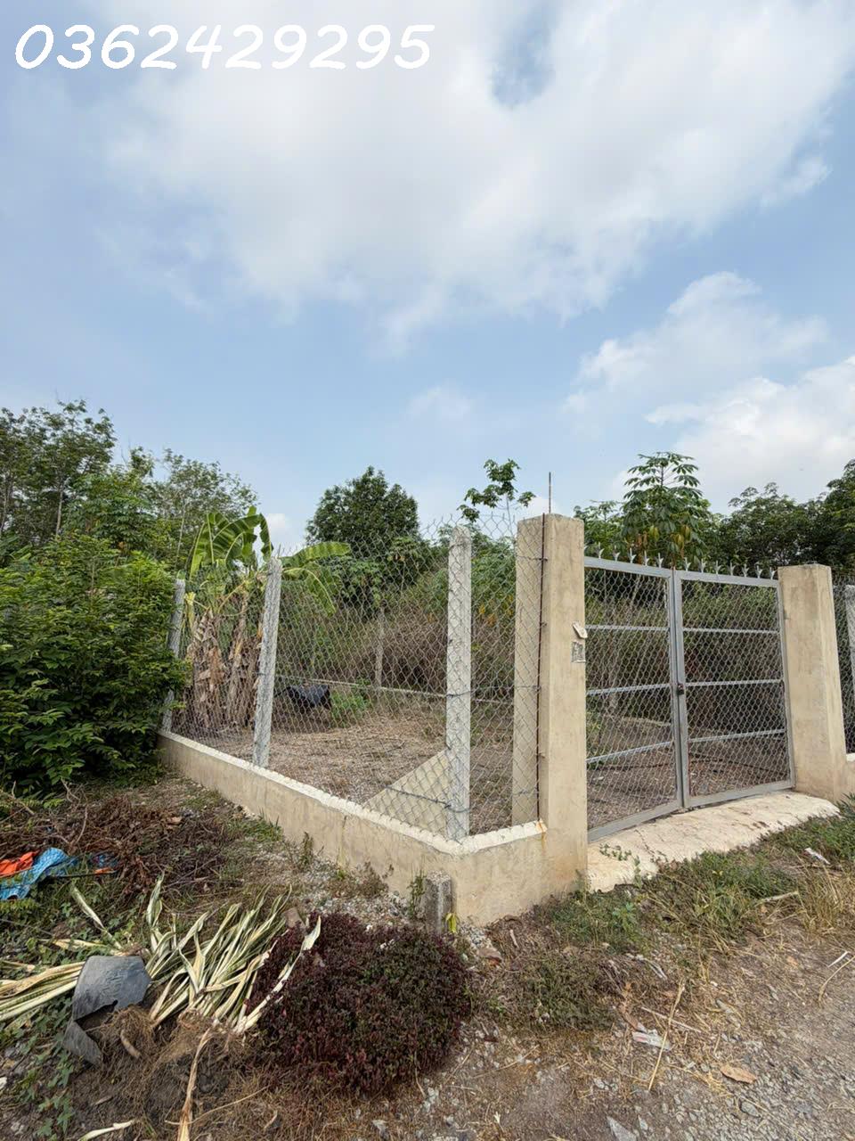 Bán đất 217.7m2 có thổ cư xã Thanh Tuyền, huyện Dầu Tiếng, Bình Dương chỉ với giá siêu hời 16024503