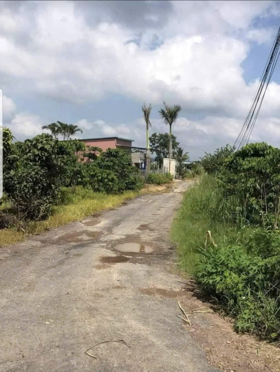 CƠ HỘI ĐẦU TƯ SINH LỜI CAO, CHÍNH CHỦ BÁN 2 LÔ ĐẤT LÂM HÀ, LÂM ĐỒNG. 16024525