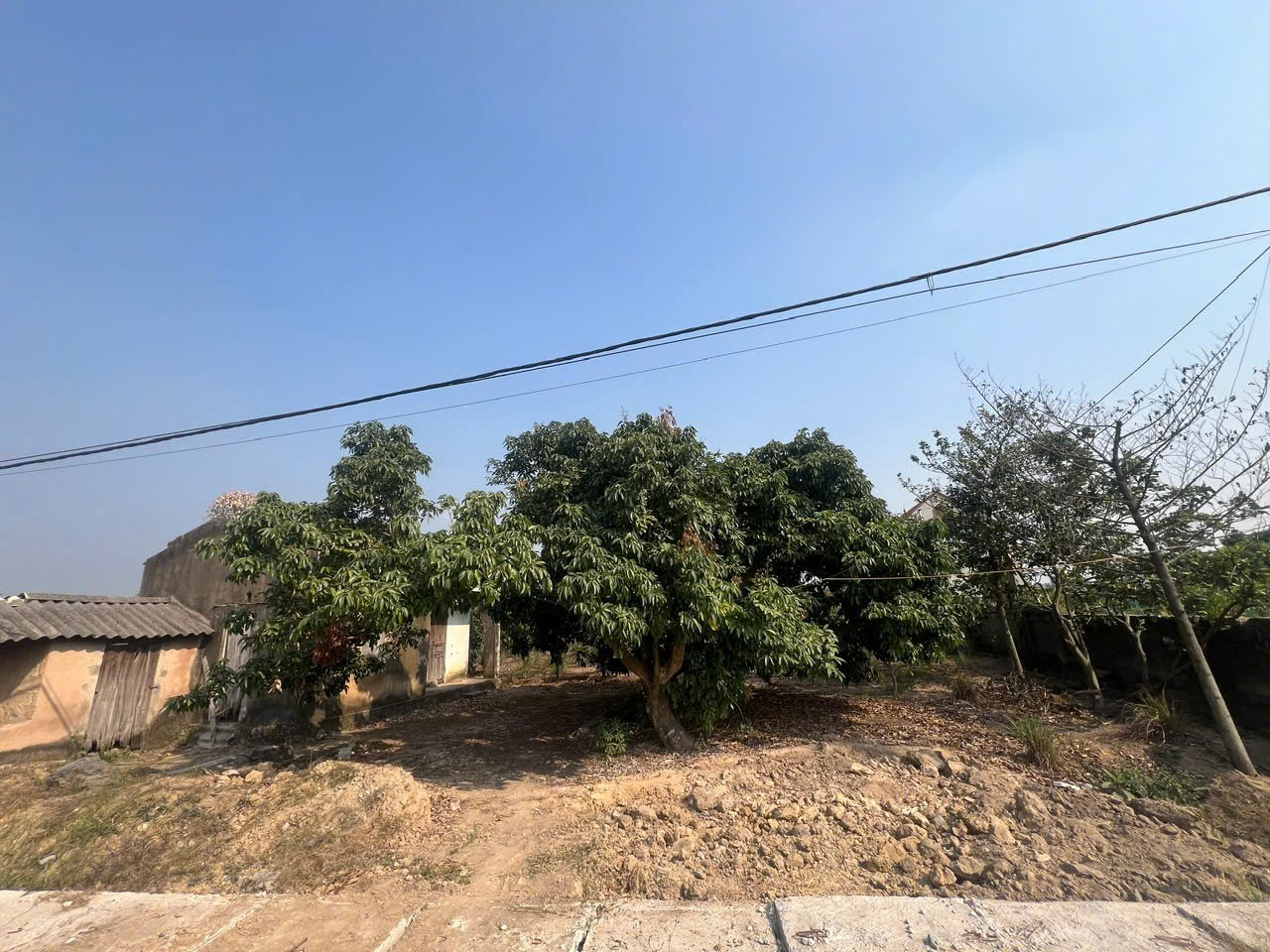 964M² ĐẤT HOÀNG TIẾN – QUỸ ĐẤT RỘNG, KINH DOANH CỰC ĐỈNH - TIỀM NĂNG SINH LỜI MẠNH! 16024535