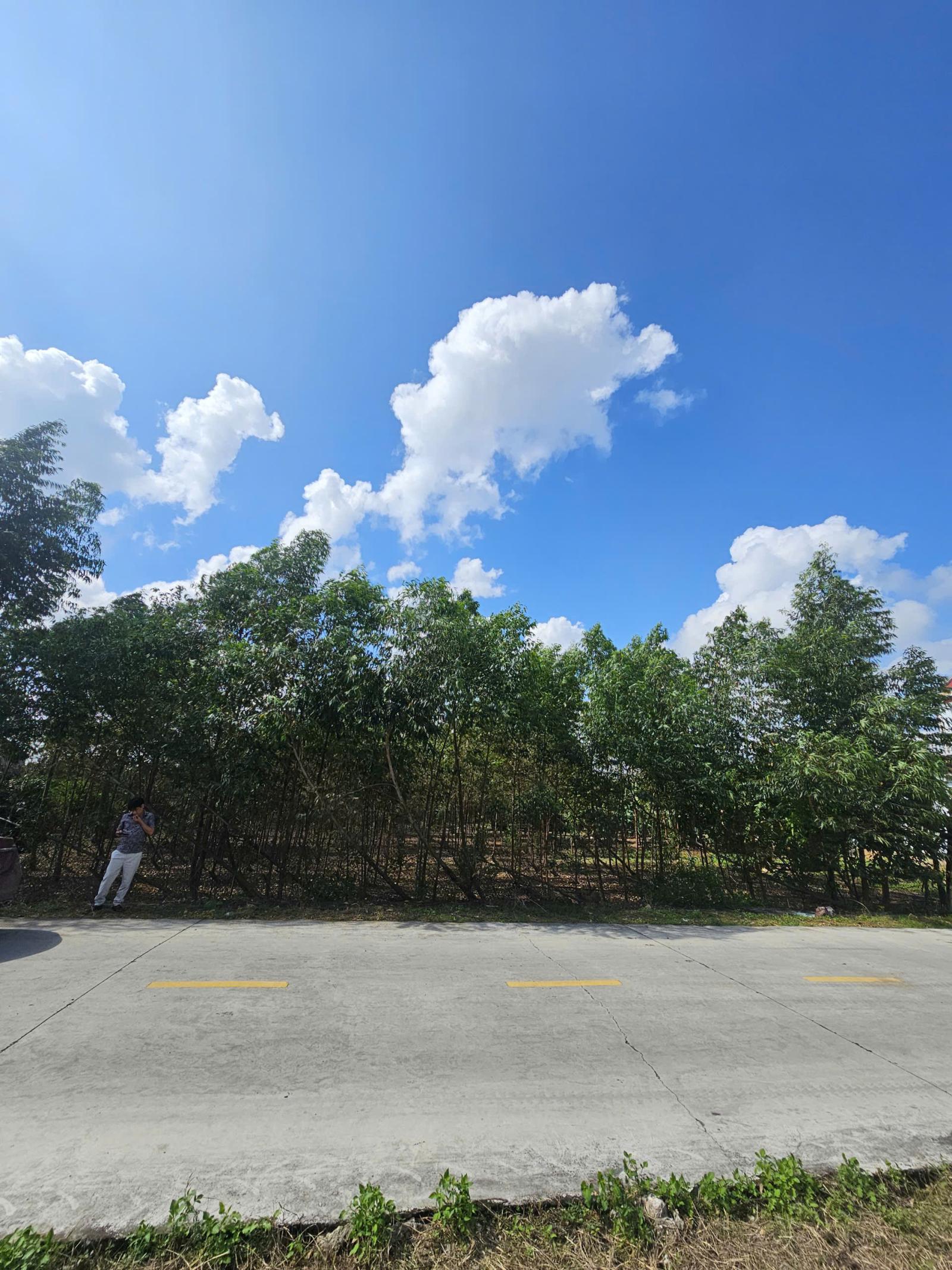 CỰC HÓT AI NÀO RỒI CŨNG MUỐN SỞ HỮU ĐẤT TẠI HOÀNG TIẾN, CHÍ LINH, HẢI DƯƠNG VỚI TIỀM NĂNG VƯỢT TRỘI 16024538