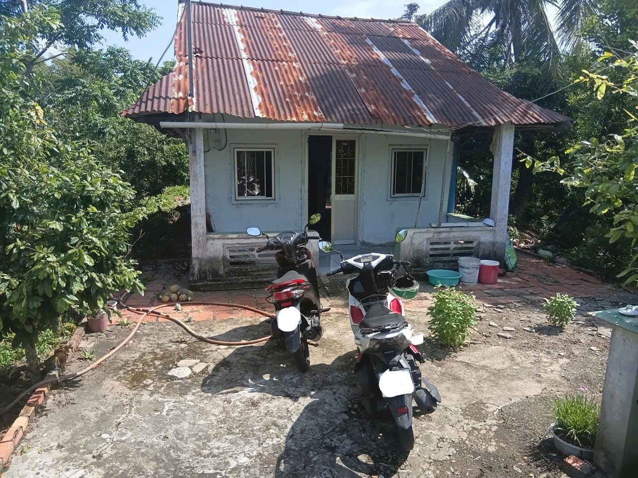 CHÍNH CHỦ BÁN ĐẤT MẶT TIỀN ĐƯỜNG TRẦN VĂN TẤT ( DƯỚI CẦU THẦY THÔNG)– XÃ PHI THÔNG (CŨ) NAY LÀ 16024582