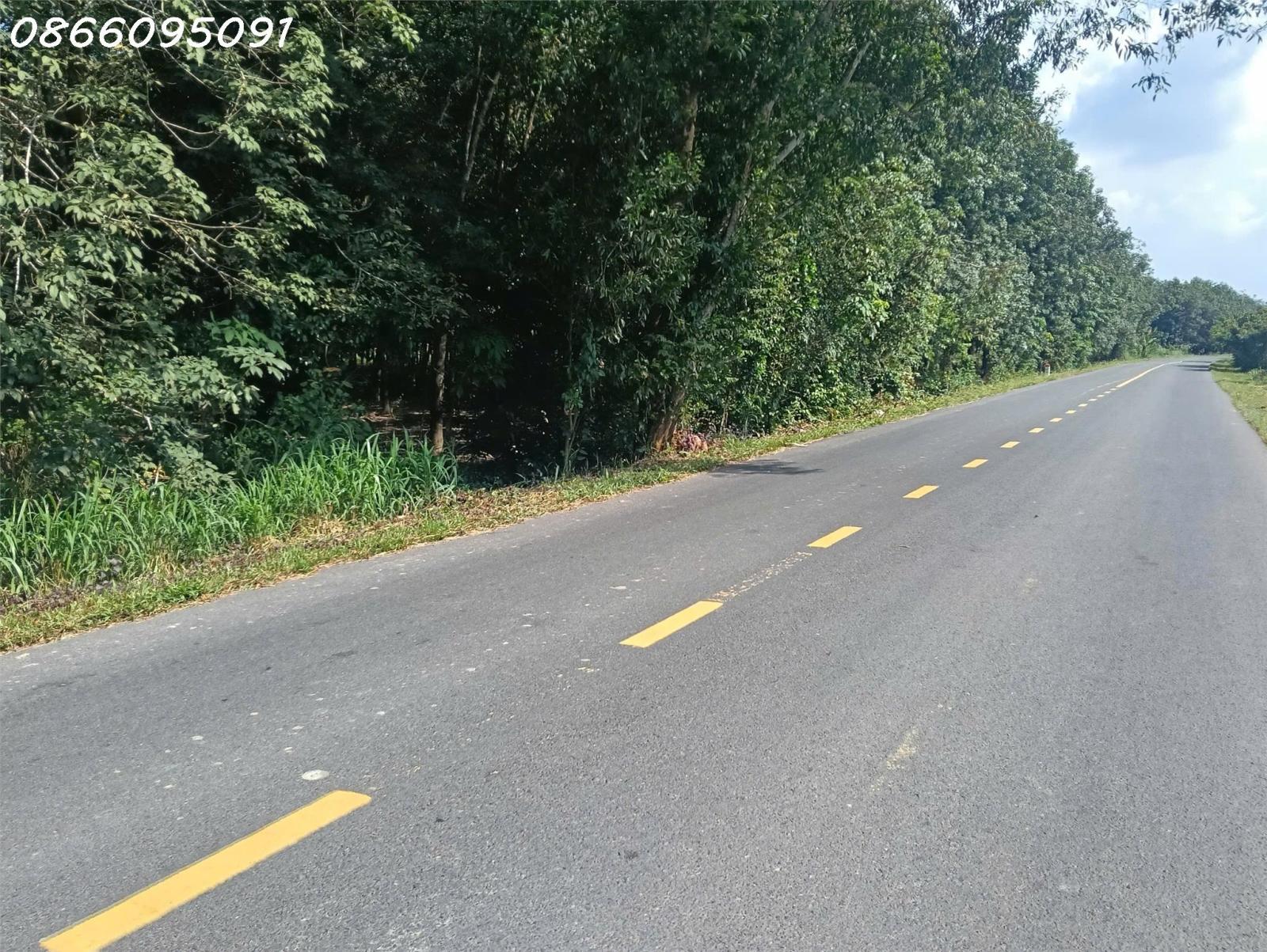 Bán đất đường ĐT 749A, Long Hòa, Dầu Tiếng, Bình Dương, 7 triệu/m2, 1309m2 giá tốt 16024587