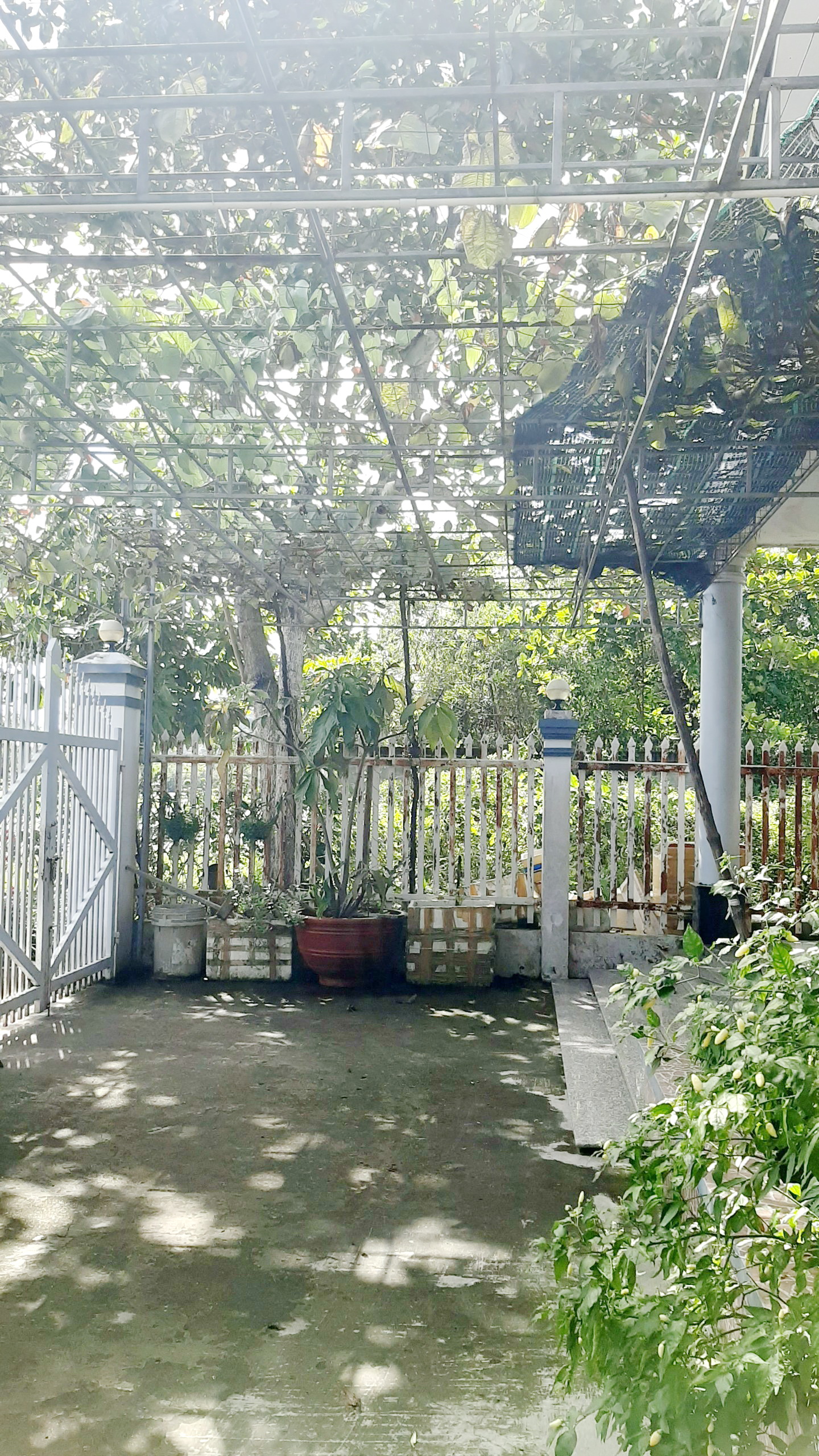 Nhà Mặt Tiền Đường Đông Hồ nối dài P. Đông Hồ TP Hà Tiên. Giá 11 tỷ TL 16024636