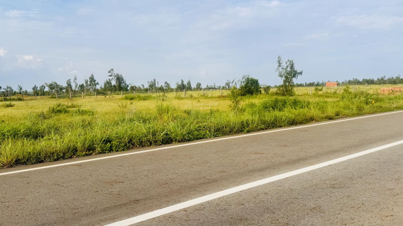 Giảm sốc 10 tỷ - Bán 2,69ha đất MT đường nhựa đón khách về NovaWorld Phan Thiết, cách biển 2,5km 16024683