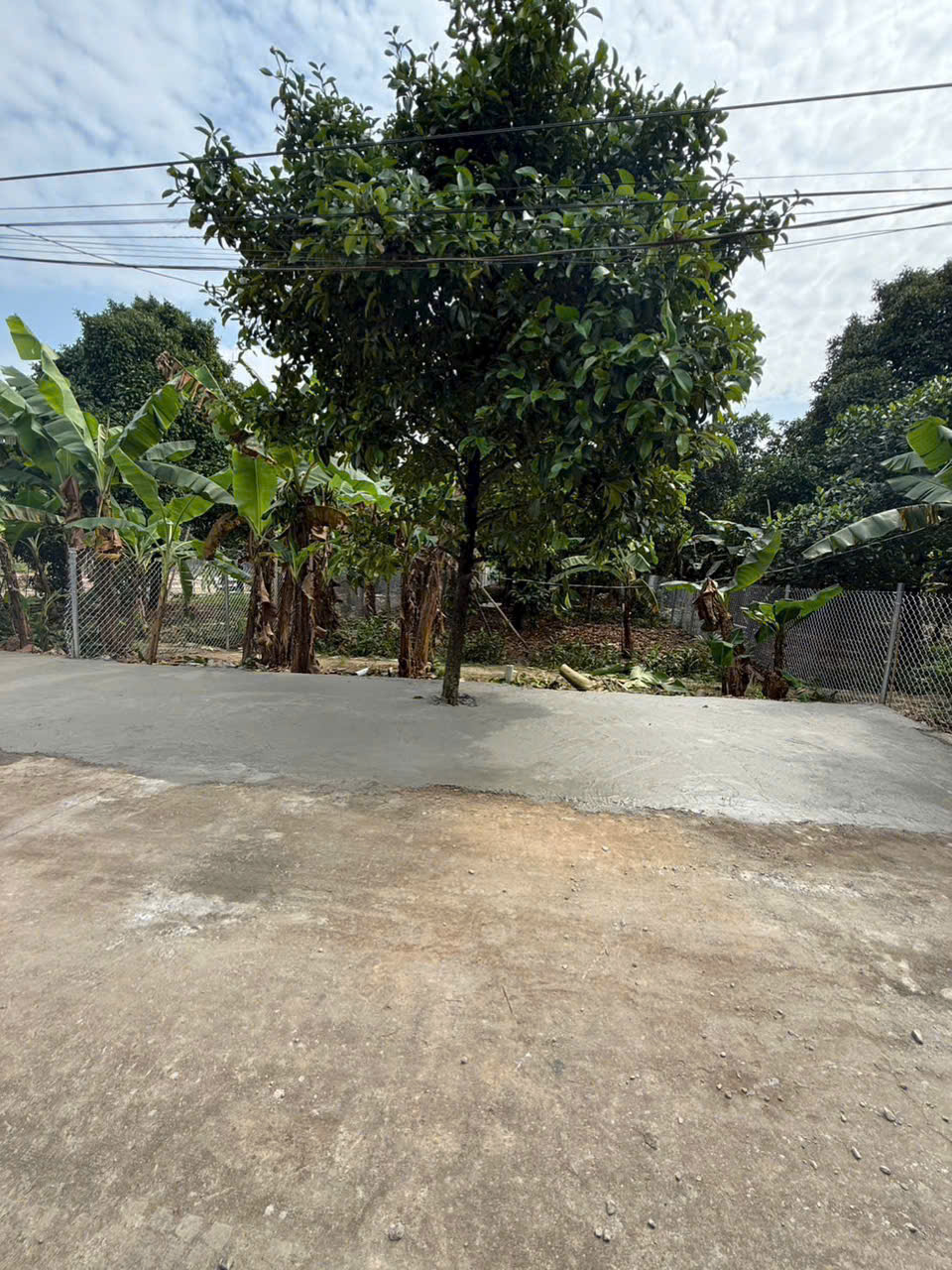 Bán Đất Mặt Tiền Bình Nhâm 30 – Lái Thiêu, Thuận An, Tphcm - 432m² Đất – Giá Chỉ 6.9 Tỷ 16024744