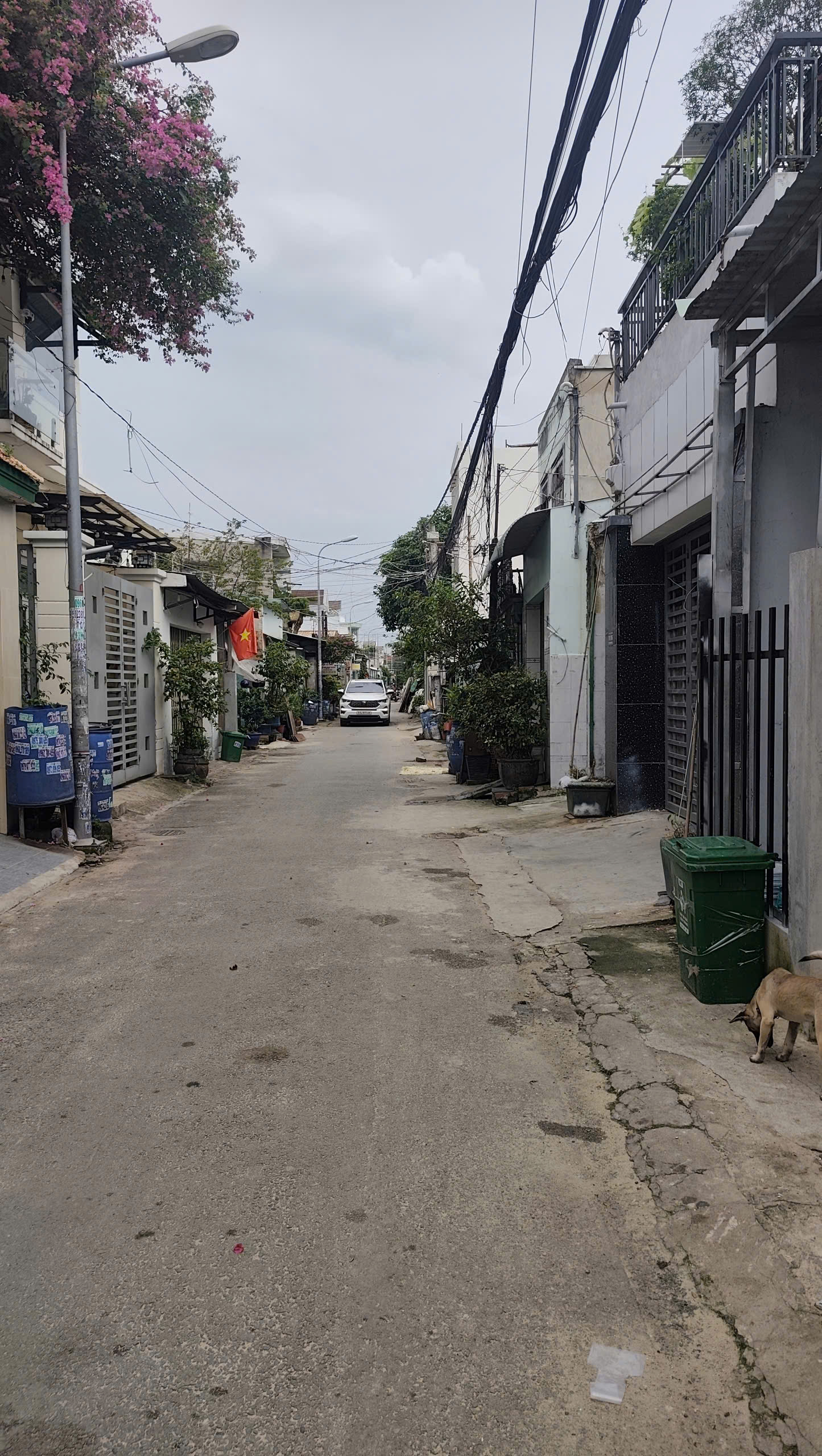 Bán Lô Đất Mặt Tiền Lái Thiêu 13 – Khu Chợ Nhỏ Bình Hòa - Giá Bán: 3 Tỷ 950 Triệu – Còn Thương Lượng 16024749