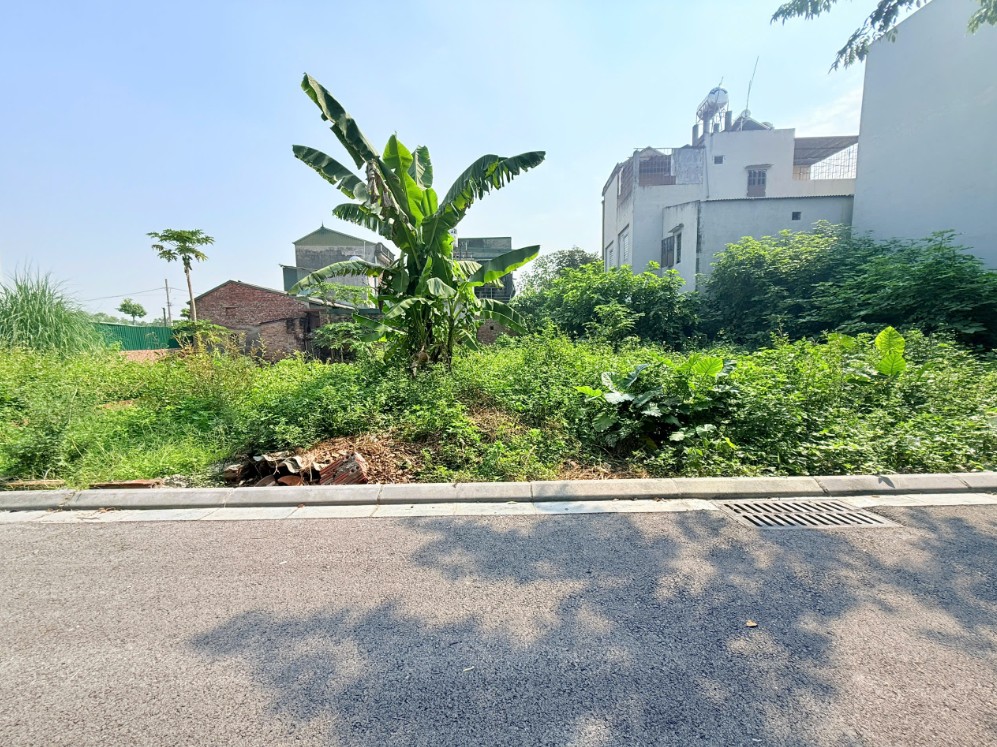 Chính chủ bán đất Đông Anh, Hà Nội - 65,6m2, đường ô tô 4,5m, sổ đỏ riêng, giá 4,36 tỷ 16024758