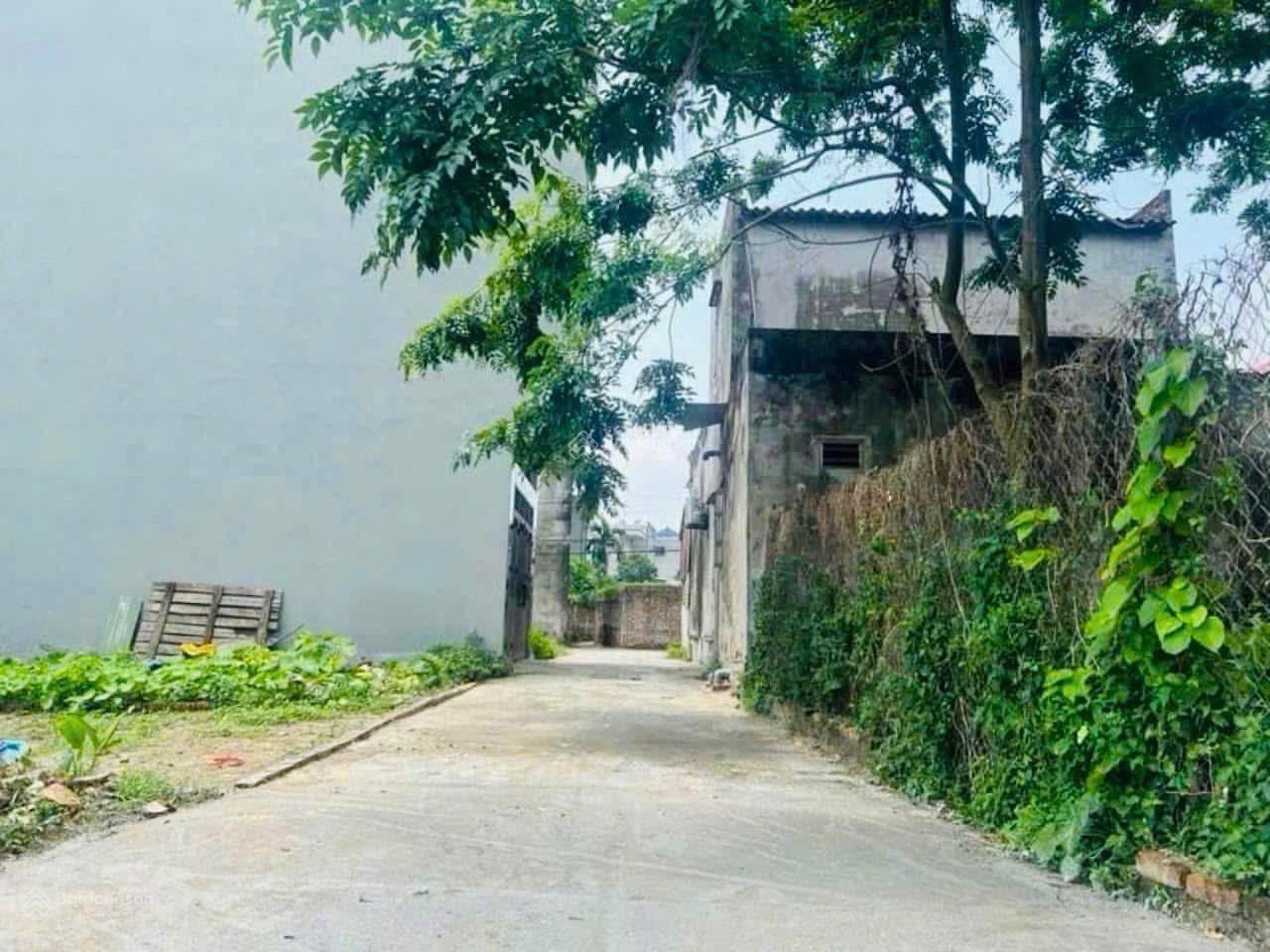 Chính chủ bán đất Đông Anh, Hà Nội - 65,6m2, đường ô tô 4,5m, sổ đỏ riêng, giá 4,36 tỷ 16024758