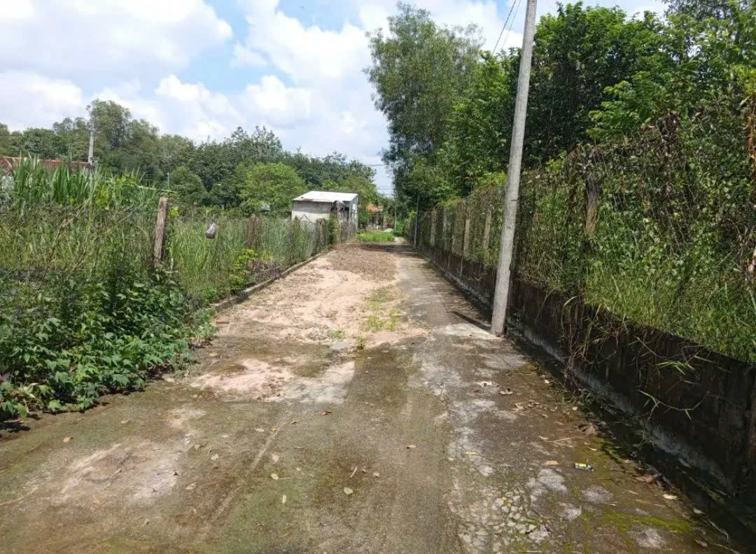 SỐC! GÓC 2 MẶT TIỀN VÕ THỊ BÀNG – QUỸ ĐẤT HƠN 4.000M², CHỈ 22 TỶ! 16024780