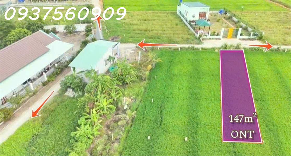 Bán lô đất siêu đẹp 5x30 - (147m2) - Đức Tân, Huyện Tân Trụ, Long An, giá đầu tư 16024811