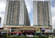 Bán căn hộ Oriental Plaza, DT 100m2, 3PN, giá 3,5 tỷ, để lại NT. LH 0932044599