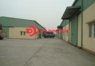Cho thuê xưởng mới xây (160m;200;300;400;500m2)70 Nghìn/m2 lô Tư,Tân Kỳ Tân Qúy, Phạm Đăng Gỉang