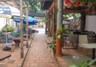 Sang nhượng mặt bằng Cafe sân vườn 200m2 ngay Ngã 4 Hoàng Hoa Thám, chỉ việc vào kinh doanh