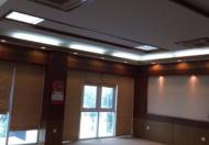 Cho thuê văn phòng cực đẹp dt 75-115m2 86 Lê Trọng Tấn, LH: 0981536492