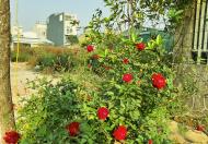 Chính chủ cần bán 70m2 mặt trục chính tấp nập nhất Trâu Quỳ, Gia Lâm, Hà Nội. Lh 0989894845.