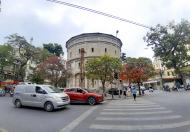 Bán Gấp 200m2 đất phố kinh doanh Trâu Quỳ, Gia Lâm, Hà Nội. Sổ đỏ chính chủ. Lh 0989894845.