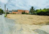 650tr lô hàng đầu tư tại Đức tân - Tân Trụ - Long An ngay DT833