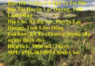 Bán Đất Trồng Cà Phê Vị Trí Đắc Địa Tại Huyện Lạc Dương, Tỉnh Lâm Đồng