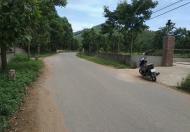 Chính chủ cần bán đất tại huyện Tân Sơn, Phú Thọ