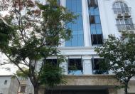 Bán Gấp Tòa Nhà VP 9 Tầng Xây Mới Mặt Phố Quan Hoa. MT 9.5m. Giá 85 TỶ