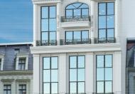 Bán Gấp Tòa Nhà VP 9 Tầng Xây Mới Mặt Phố Tôn Đức Thăng. DT 182m2. MT 8.6m nở hậu. Giá 140 TỶ