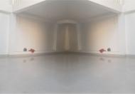 Cho thuê mặt bằng 1 trệt 1 lầu đường Nam Kỳ Khởi Nghĩa, Vũng Tàu