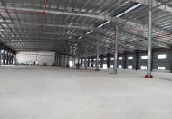 Cho thuê kho xưởng 1.300m2 trong KCN Vĩnh Lộc, Bình Chánh