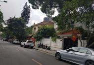 Bán Biệt thự phố Nguyễn Gia Thiều 250m, giá 150 tỷ.