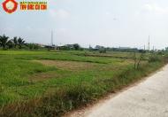 Bán đất vườn đường bê tông - 1298m2 - 61x28 - xã Phước Thạnh - Củ Chi