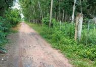 Đất Nền 1/ngắn Nguyễn Thị Rành 15x57 (thổ cư) cách Tỉnh lộ 7 1km Giá 4 Tỷ