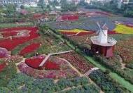 CHÍNH CHỦ BÁN 1989M2 ĐẤT THỔ CƯ, VIÊW THUNG LŨNG HOA. TÂY HỒ