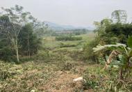 Cần chuyển nhượng mảnh đất 1037m 250m đất ODT  tại thị trấn Lương Sơn - Hòa Bình