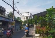 Bán gấp nhà phố có khuôn viên, hồ bơi đường vườn lài nguyễn thái sơn 4x15