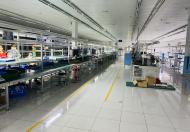 Cho thuê xưởng sản xuất hoặc làm kho bãi tại Hợp Thịnh, Tam Dương Lh 0855823833 