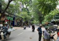 BÁN NHÀ MẶT PHỐ -HOÀNG HOA THÁM – VỈA HÈ –KINH DOANH SẦM UẤT 62M 5TẦNG 13.8 TỶ