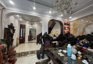 Bán nhà Lạc Long Quân –BIỆT THỰ , SÂN VƯỜN 215m 4tầng, MT 16m, Ô TÔ vào nhà giá 21 tỷ