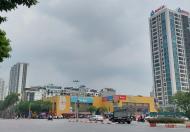 Bán gấp nhà phố Đại Linh, thang máy, kd, xe tải, giá 19 tỷ