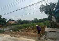 Chính chủ bán đất tại Lan Mẫu, Lục Nam, Bắc Giang