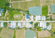 Chính chủ cần bán gấp lô đất xã Phước Thể, Huyện Tuy Phong, Bình Thuận