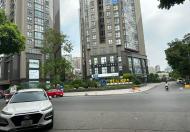 Biệt thự VIP Trung Yên, Cầu Giấy, 310m2, 4 tầng, mặt tiền 20m, giá quá ngon 85 tỷ
