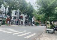 Mặt Tiền Đường Số 65, 90m2, 30 Tỷ, Tân Phong, Quận 7