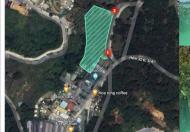 Đất nền khu đồi Robin kế bên cafe Lulu Lola Phường 3 thành phố Đà Lạt - Diện tích 4484,76 m2 giá
