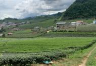 Cần bán lô đất đẹp tại Thị Trấn NT Mộc Châu,Huyện Mộc Châu,Tỉnh Sơn La